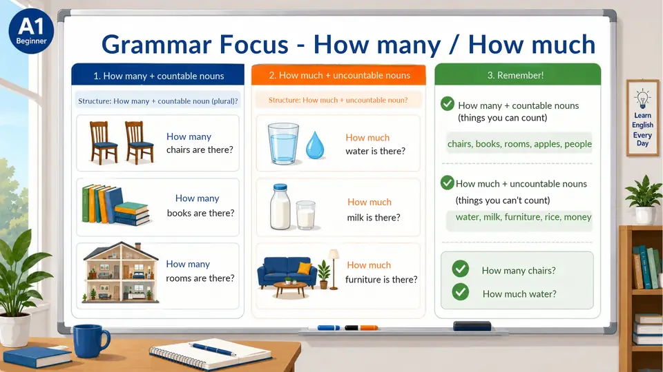 Grammar Focus - How many / How much